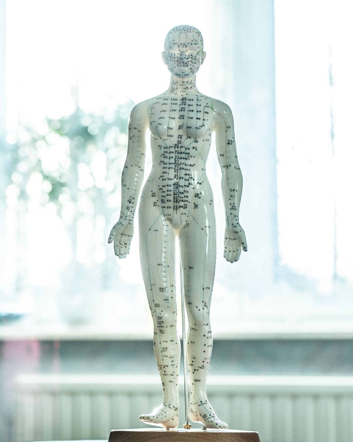 Grundlage Osteopathie